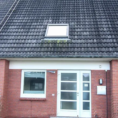 Haushaelfte Stranddiestel *