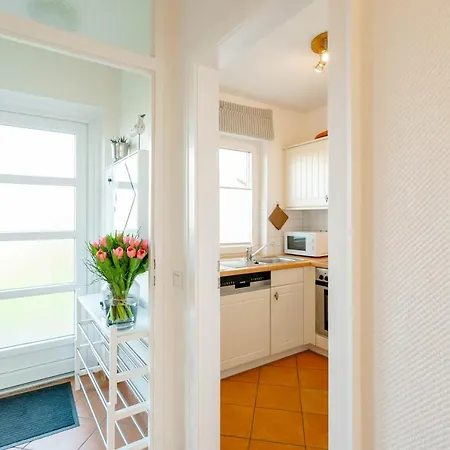 Haushaelfte Stranddiestel