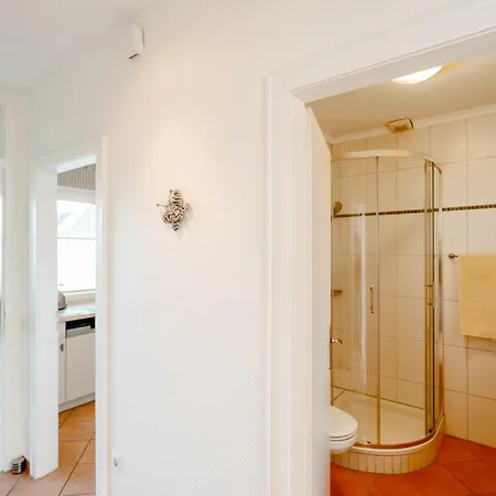 Haushaelfte Stranddiestel