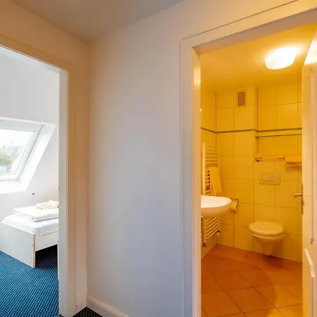 Haushaelfte Stranddiestel